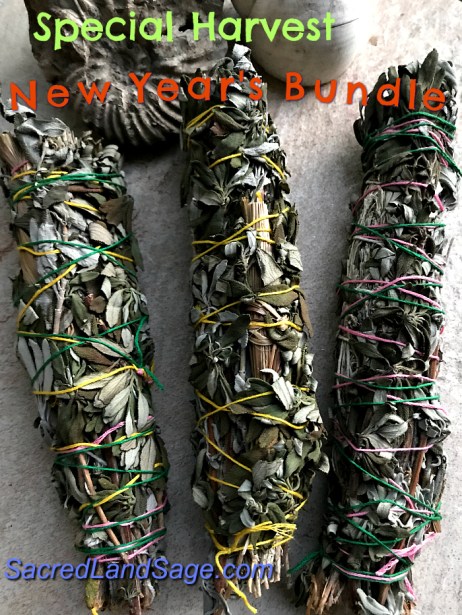 New Year Smudge-M-IMG_6378-Text